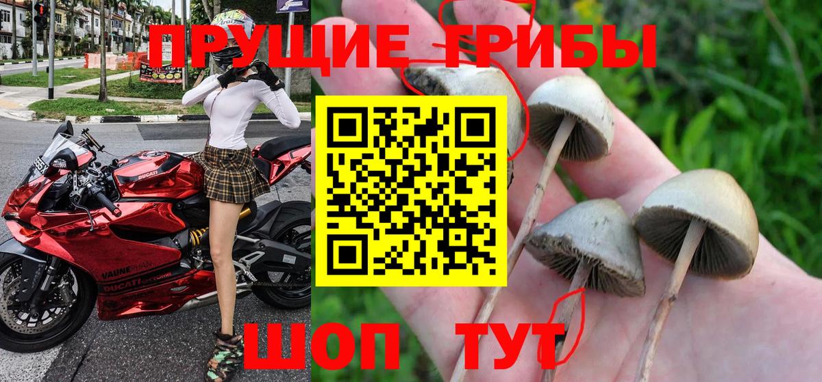 Галлюциногенные грибы ЛСД Топки