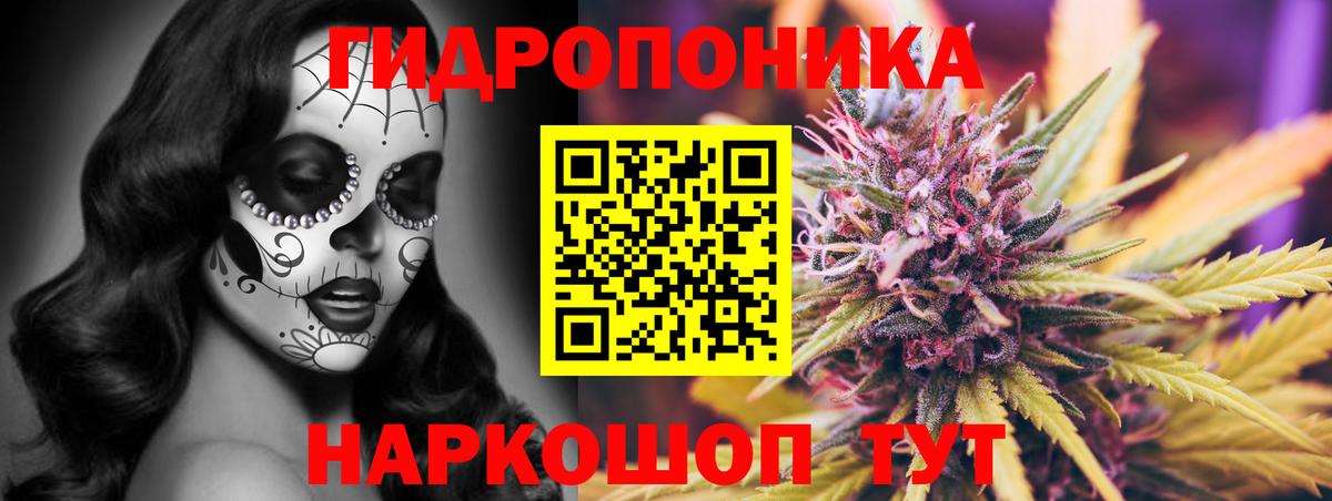 Топки  МАРИХУАНА OG Kush  Вход с VPN  Каннабис Bruce Banner  Каннабис Ganja 
